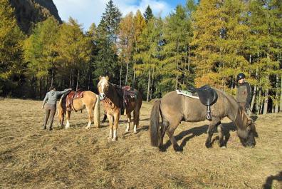 Horseback trail rides