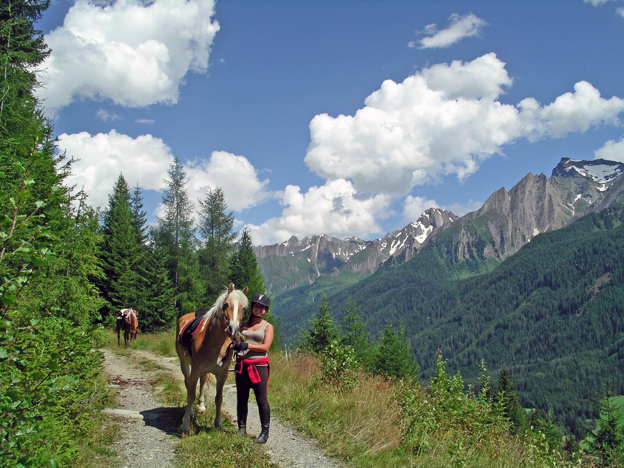 Guided all-day trail ride near Sterzing