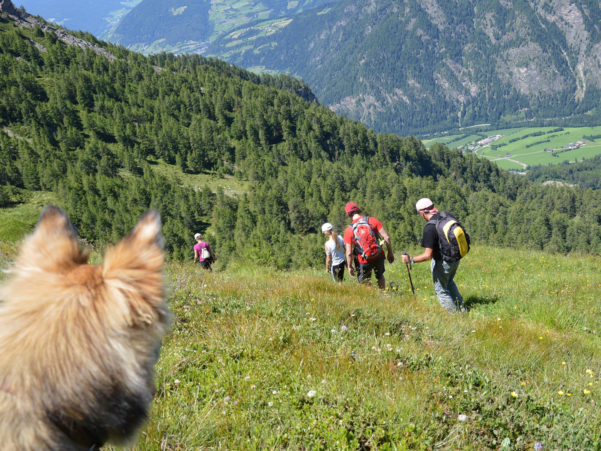Hiking expedition with our guests