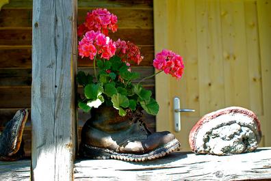 Hiking-boot planter