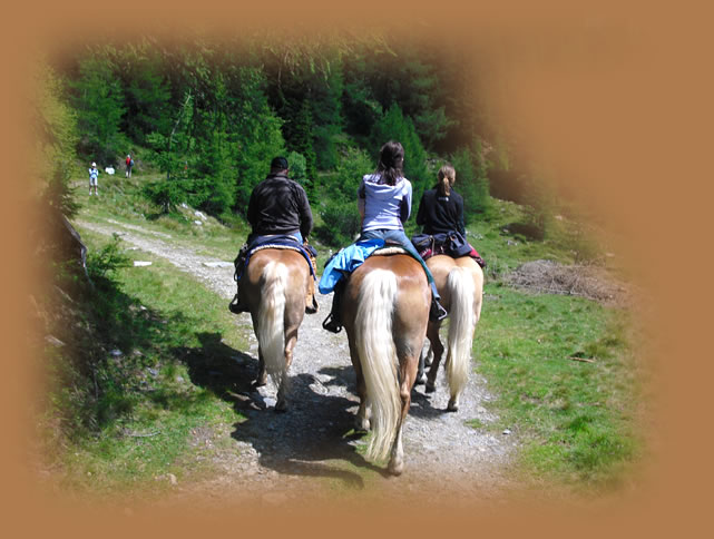 Reitausflug durch die W&auml;lder