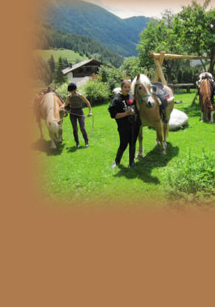 Reitauflug