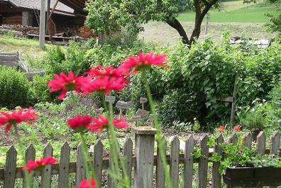 Colorful farmhouse garden