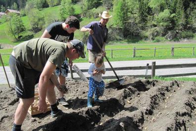 Planting potatoes at the Bacherhof