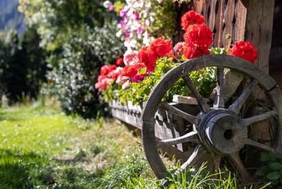 Laube im Garten