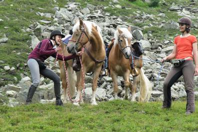 Guided half-day trail ride