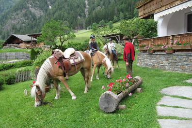 Bacher Farm and Riding Stables