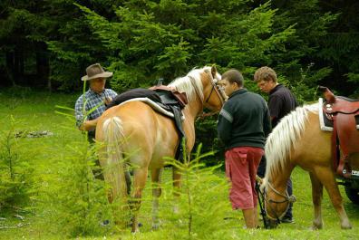 Riding holidays in Pfitsch