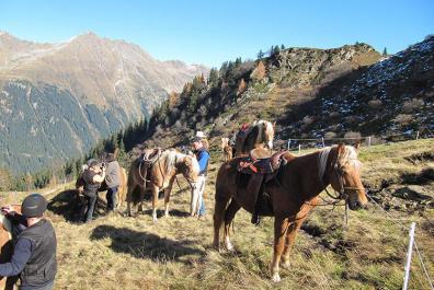 Vacanza al maso con maneggio Bacher