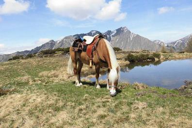 Trail rides at alpine elevations