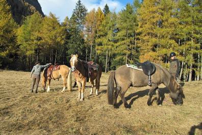 Uscite a cavallo