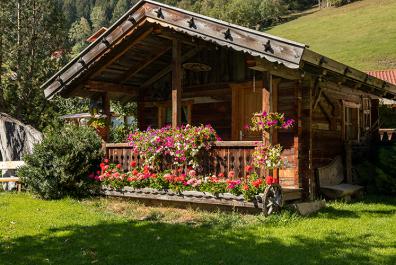 Arbor in the garden