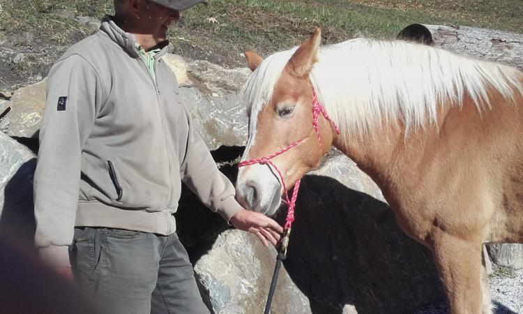 Primo approcio con cavallo