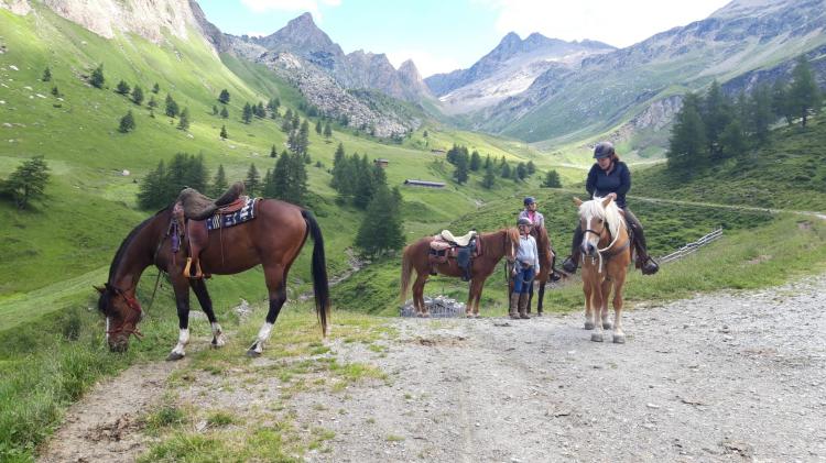 Horse trekking