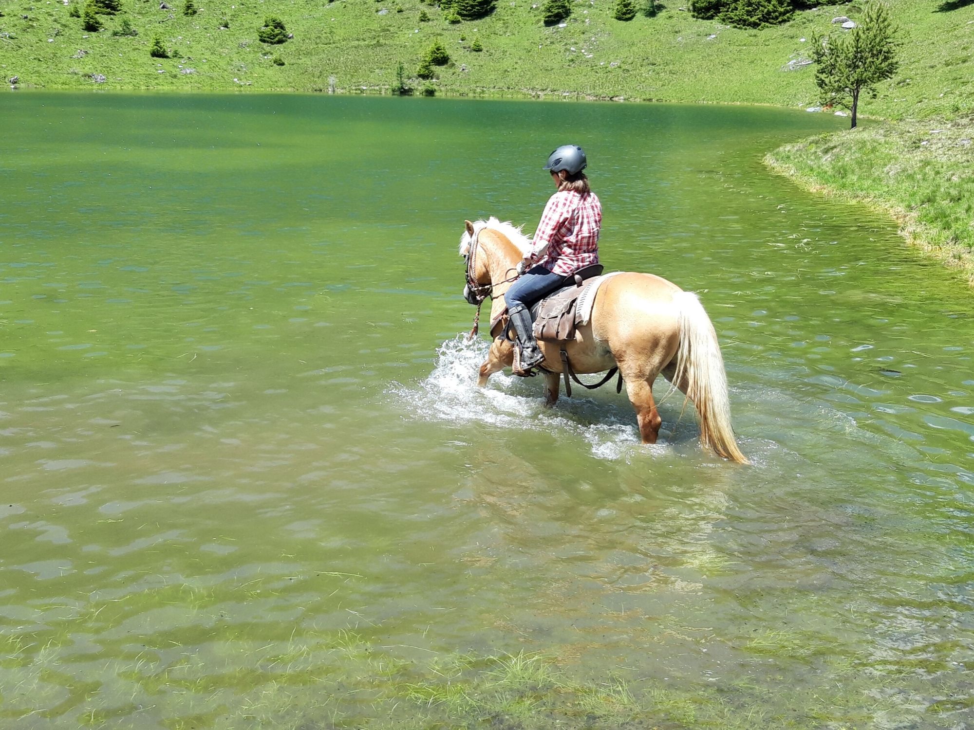 Ore di equitazione al maneggio del maso Bacher