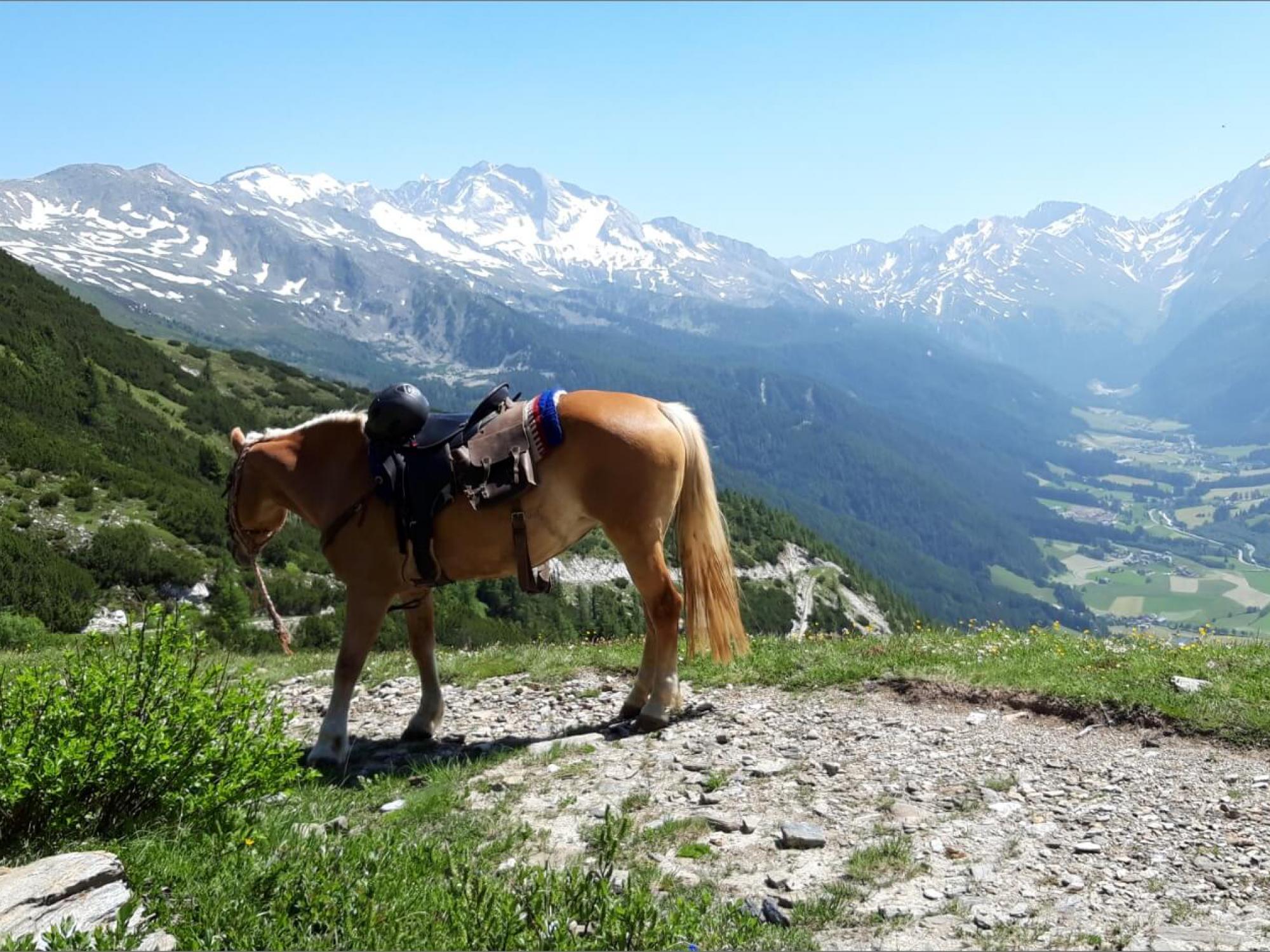 uscita a cavallo