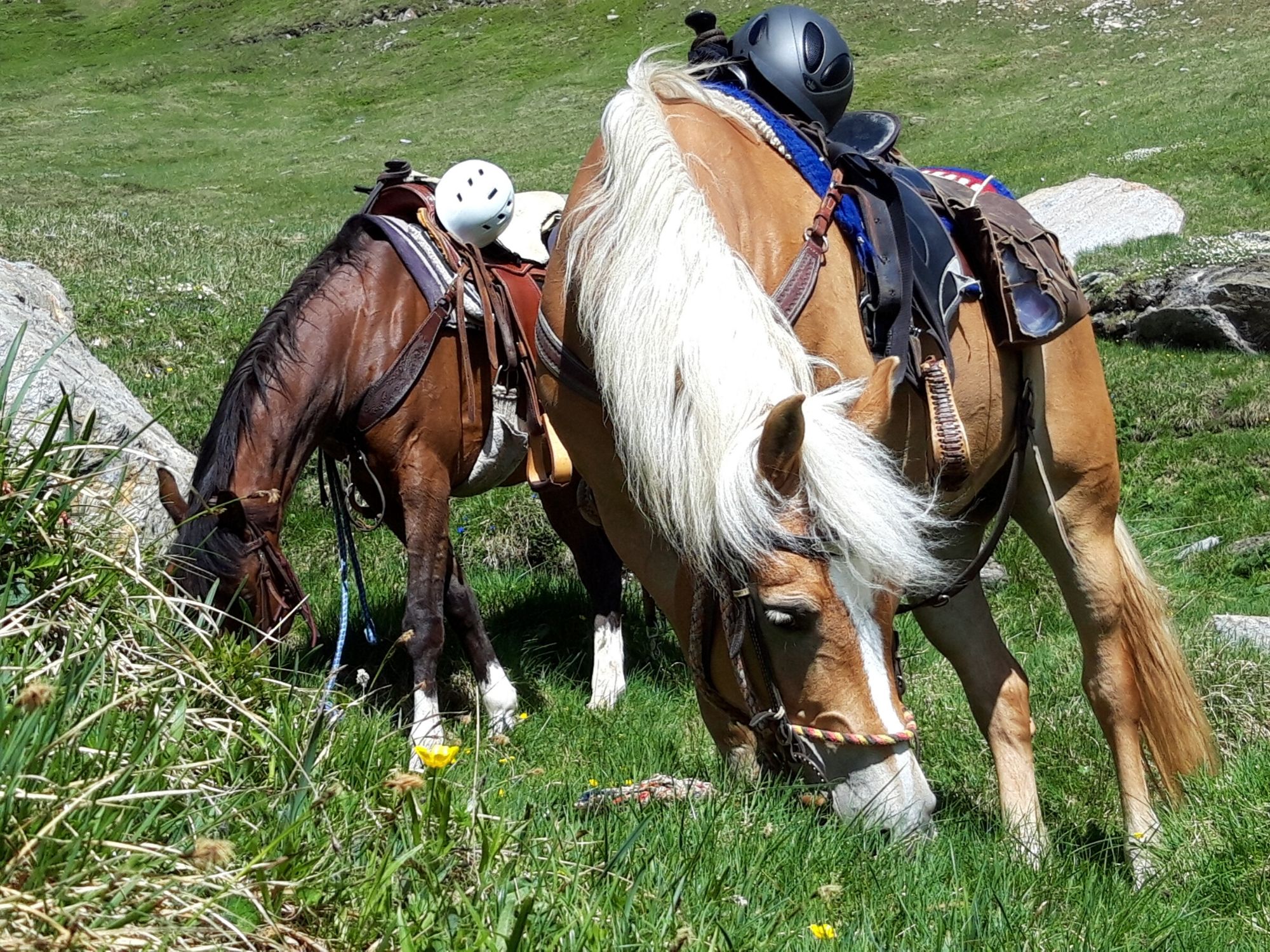 Riding lessons at the Bacherhof in Pfitsch near Sterzing, South Tyrol