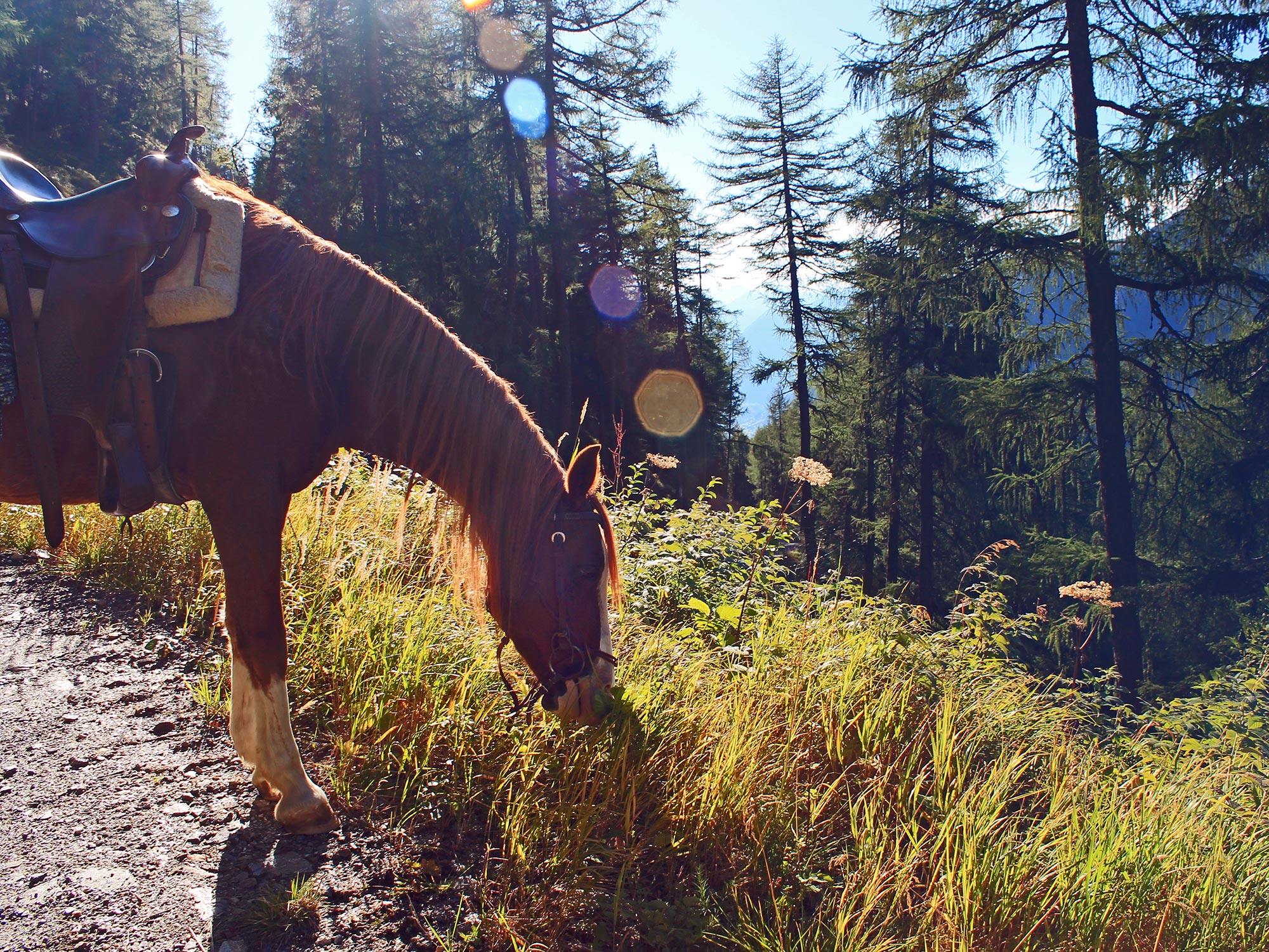 trekking trail with sea