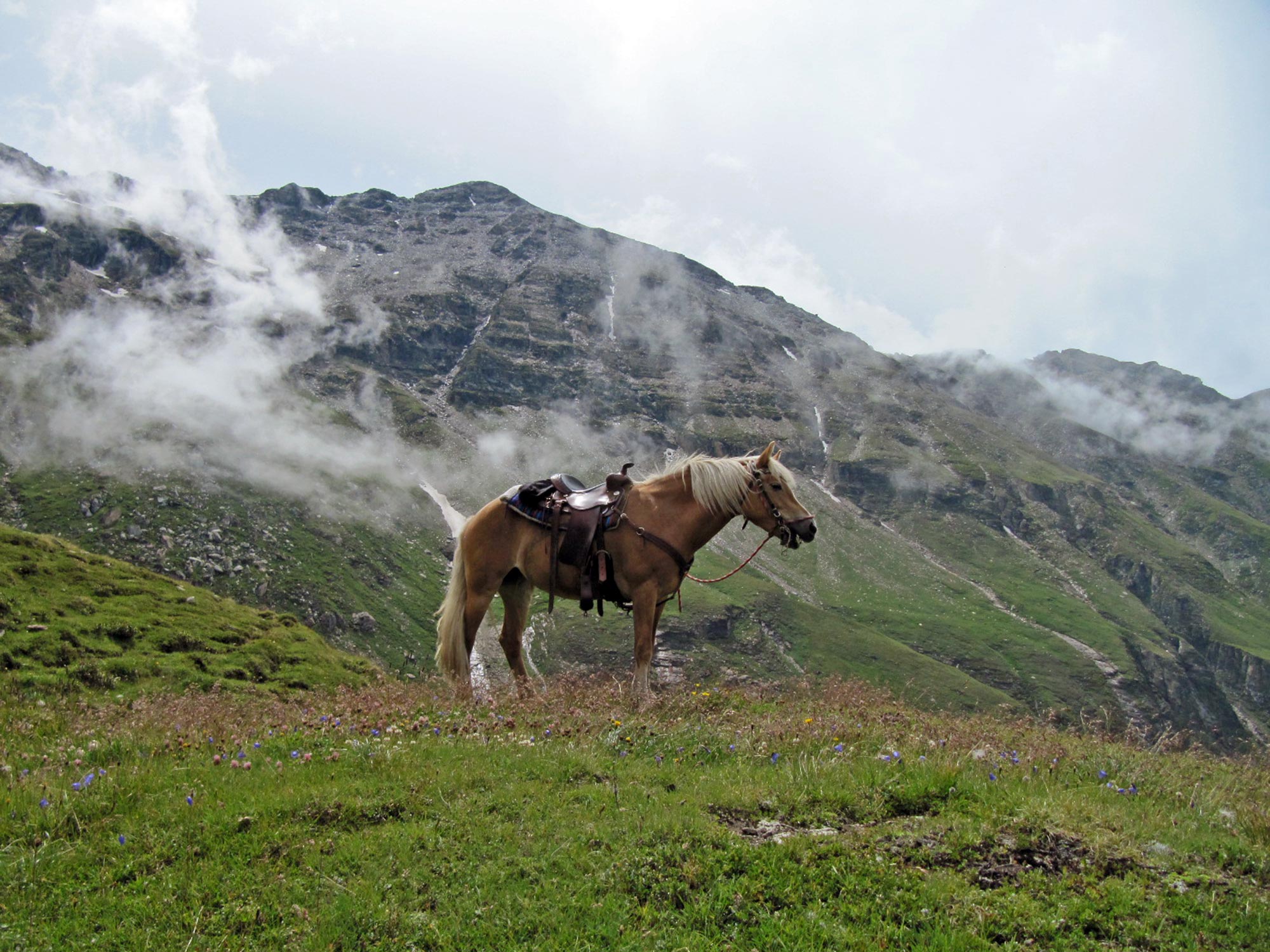 Reiterlebnis in den Südtiroler Alpen