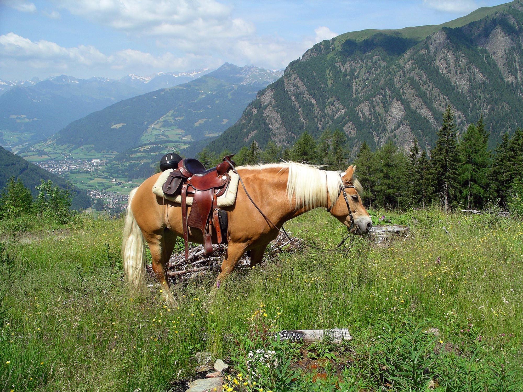 Host and certified trail-riding guide, Rudolf