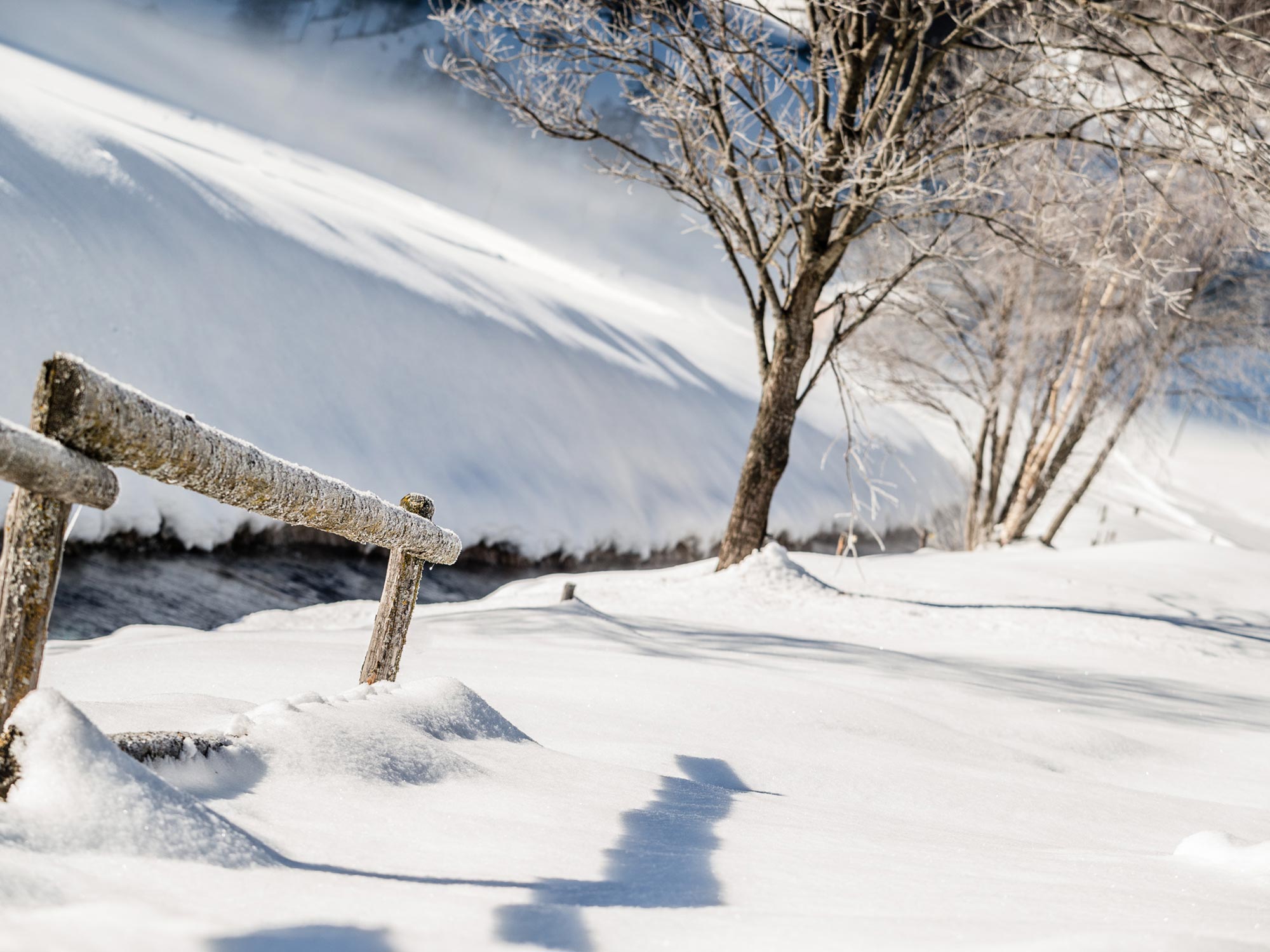 Paesaggio invernale in Val di Vizze