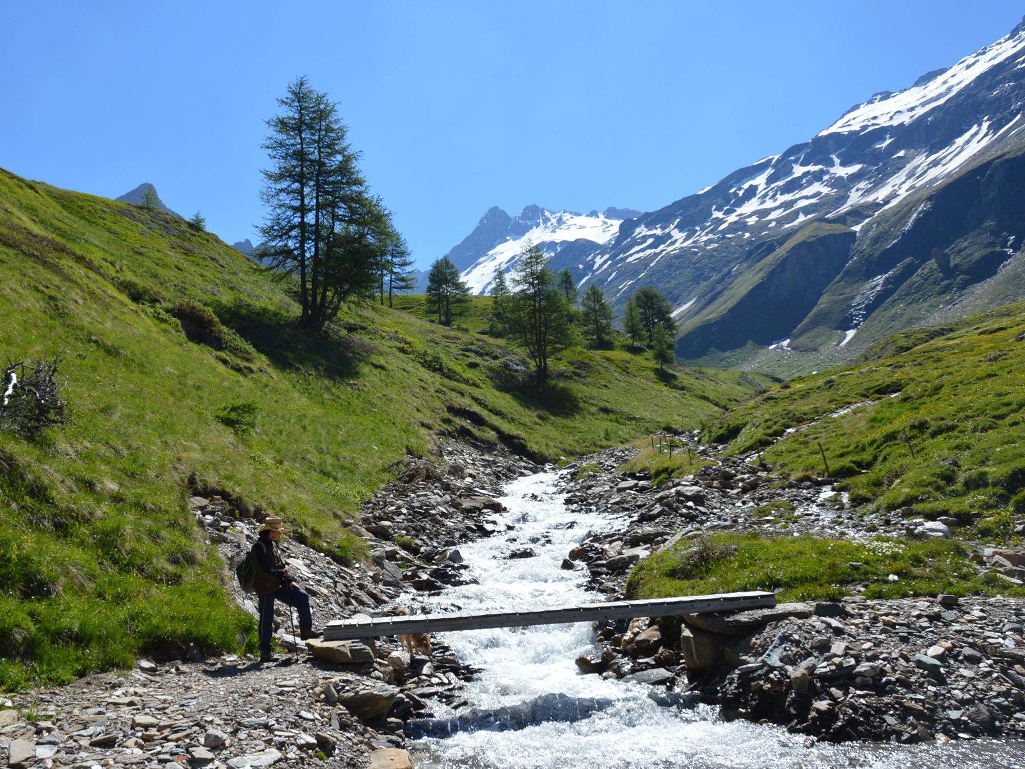 Wanderurlaub im Pfitschertal, Südtirol