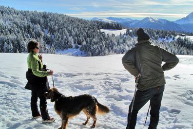 Winter hike