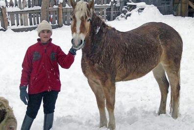 I nostri cavalli godono della libertà anche in inverno