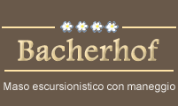 Maso escursionistico con maneggio Bacherhof